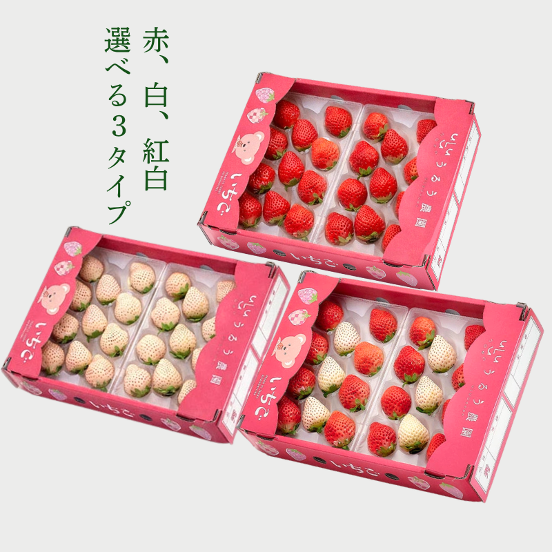【予約販売 2026年12月1日～30日 順次発送予定】うるべりー きゃんでぃーべりー220g 440g～2200g【送料無料】