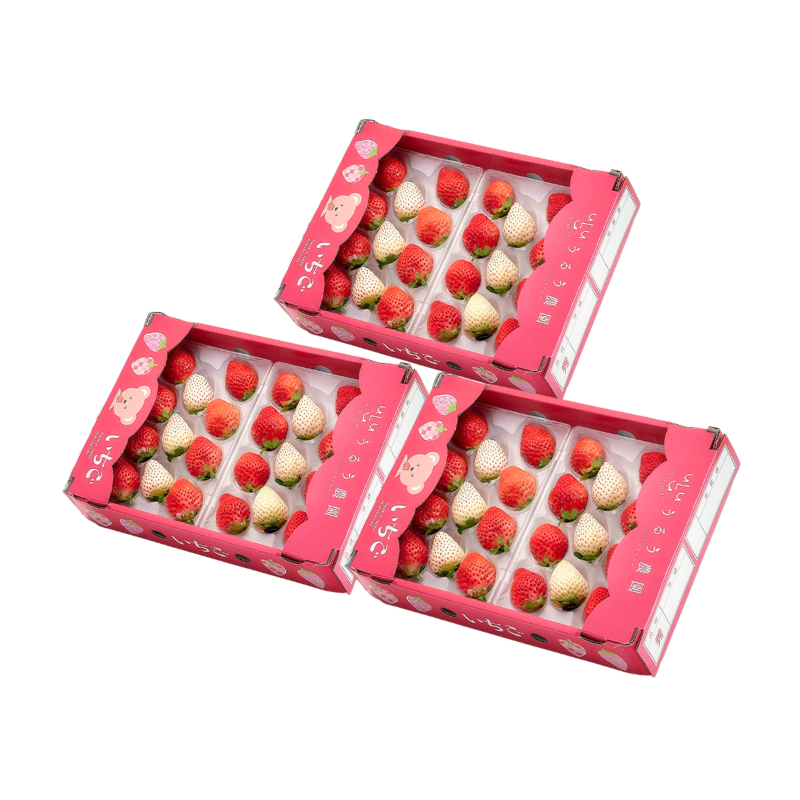 【予約販売 2026年12月1日～30日 順次発送予定】うるべりー きゃんでぃーべりー220g 440g～2200g【送料無料】