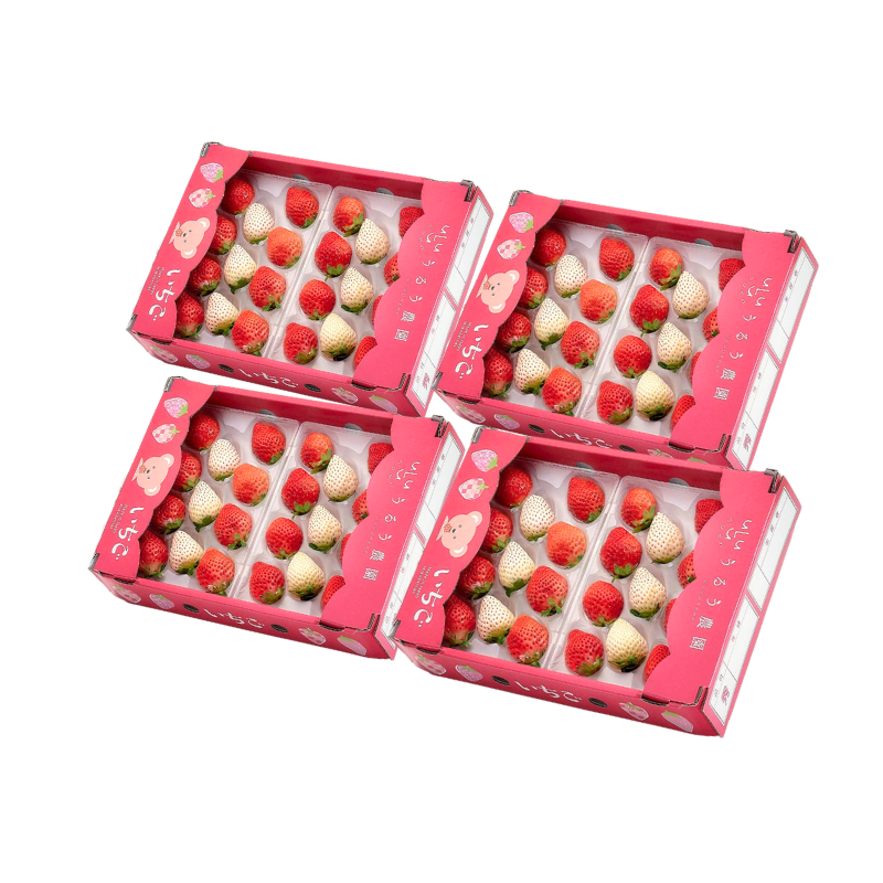 【予約販売 2026年12月1日～30日 順次発送予定】うるべりー きゃんでぃーべりー220g 440g～2200g【送料無料】