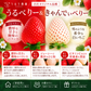 【予約販売 2026年12月1日～30日 順次発送予定】うるべりー きゃんでぃーべりー220g 440g～2200g【送料無料】