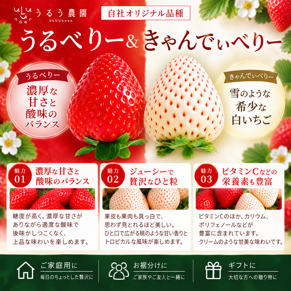 【予約販売 2026年12月1日～30日 順次発送予定】うるべりー きゃんでぃーべりー220g 440g～2200g【送料無料】