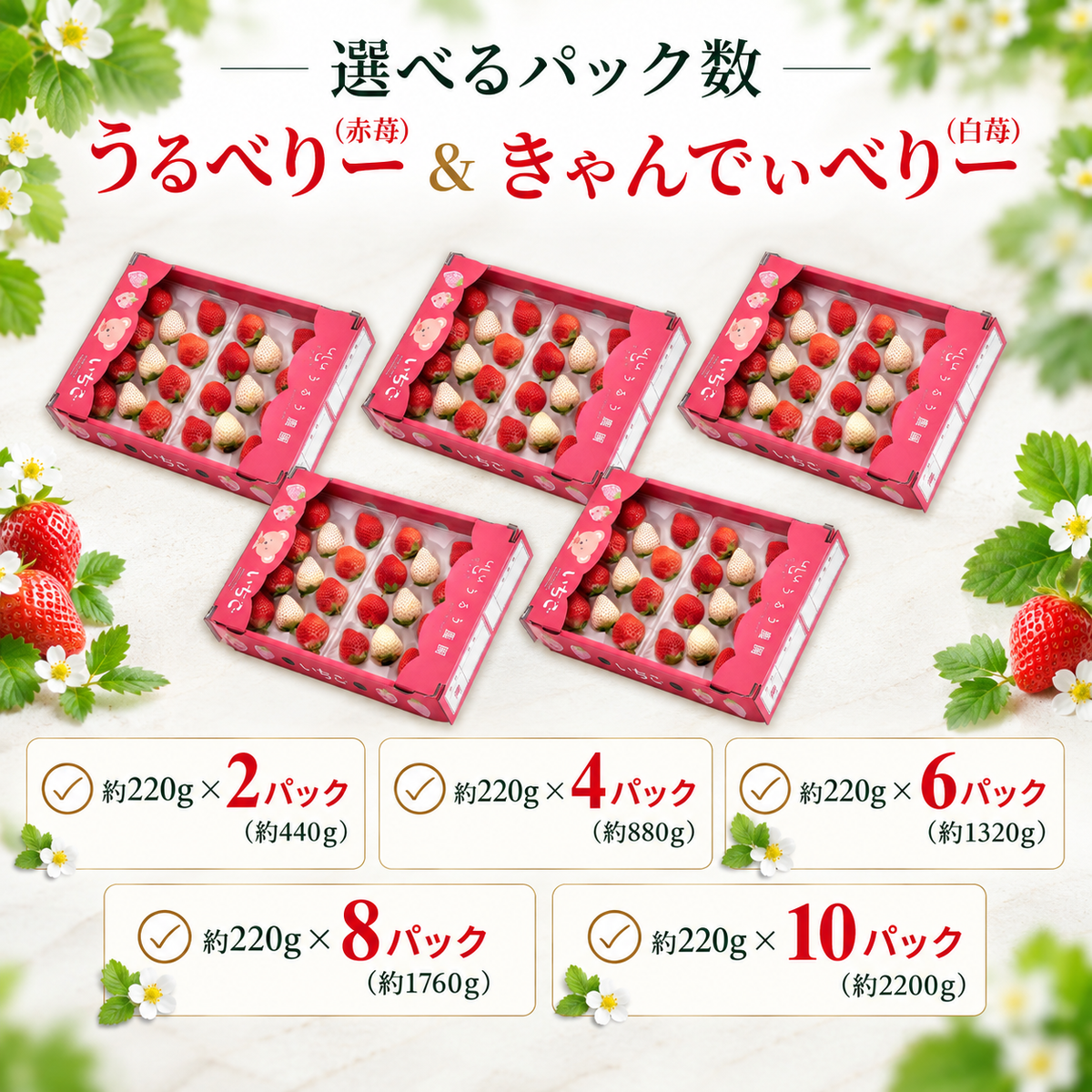 【予約販売 2026年12月1日～30日 順次発送予定】うるべりー きゃんでぃーべりー220g 440g～2200g【送料無料】