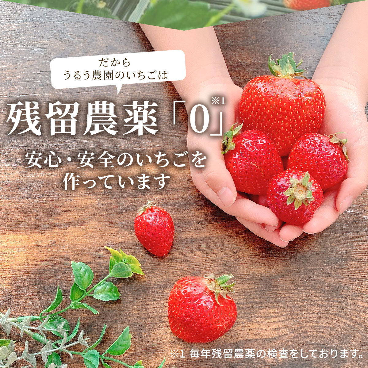 【早割】あまおう スタンダード