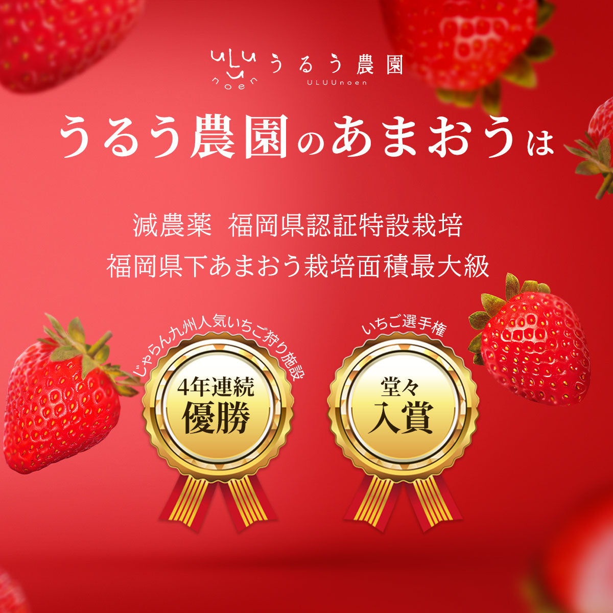 プレミアム極上紅白あまおう