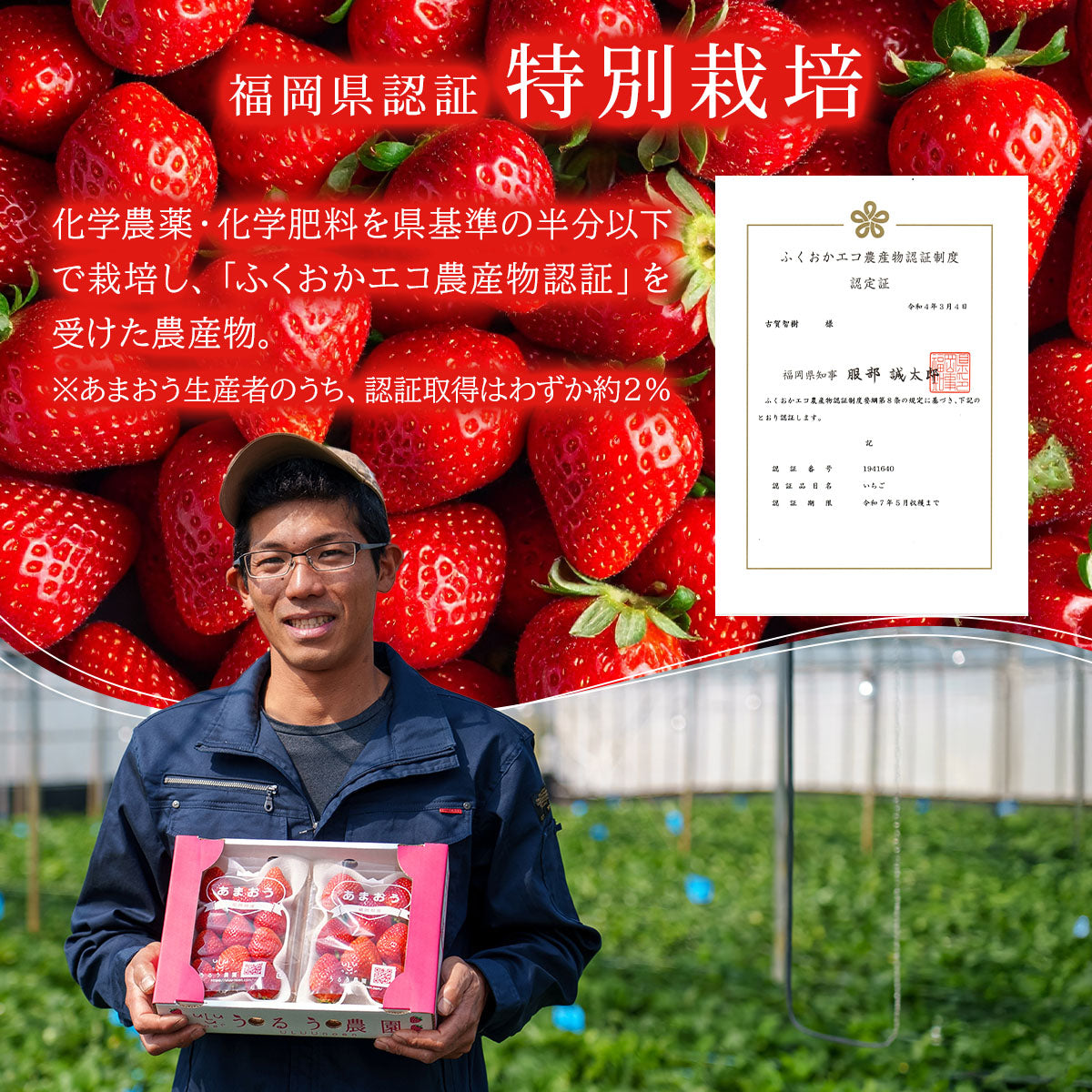 【早割】あまおう サイズ色々