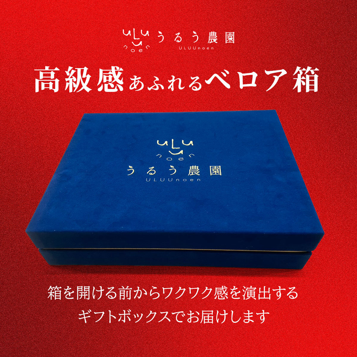 プレミアム極上紅白あまおう