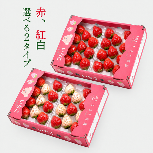 【予約販売 2026年12月1日～30日 順次発送予定】うるべりー きゃんでぃーべりー220g 440g～2200g【送料無料】