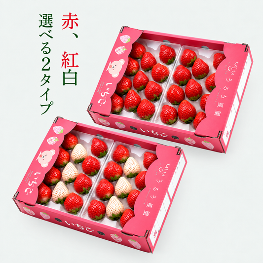 【予約販売 2026年12月1日～30日 順次発送予定】うるべりー きゃんでぃーべりー220g 440g～2200g【送料無料】