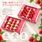 【予約販売 2026年12月1日～30日 順次発送予定】うるべりー きゃんでぃーべりー220g 440g～2200g【送料無料】