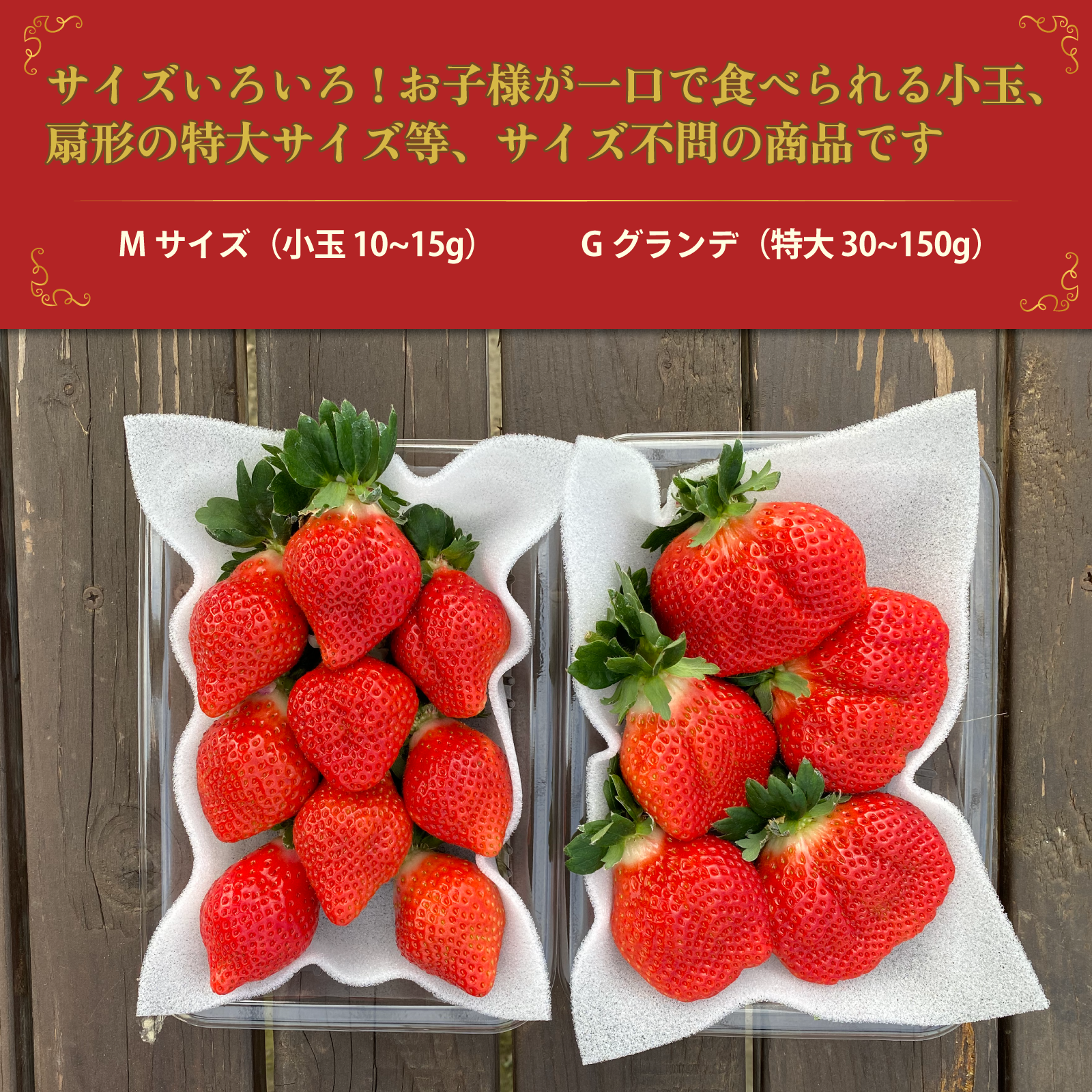 減農薬】青森県産 大玉夏イチゴ 10kg いちご 訳あり 加工用 減農薬】青森県産 大玉夏イチゴ 10kg いちご 訳あり 加工用
